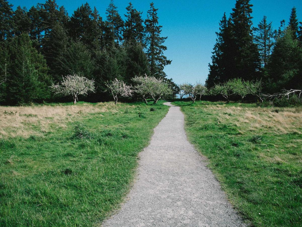 Survey Jalur Trans Poso #3